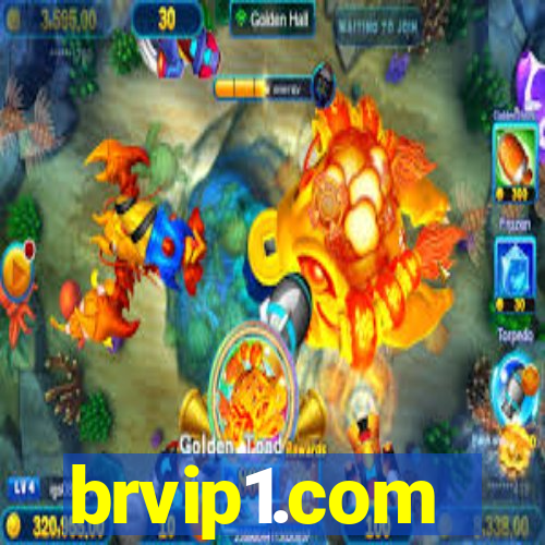 brvip1.com