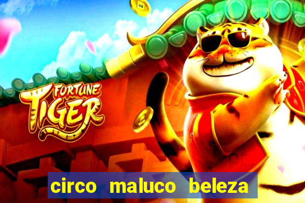 circo maluco beleza recife circo maluco