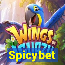 Spicybet