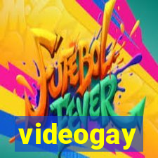 videogay