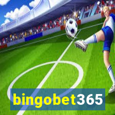 bingobet365