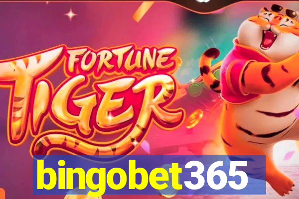 bingobet365