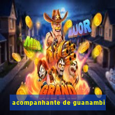 acompanhante de guanambi