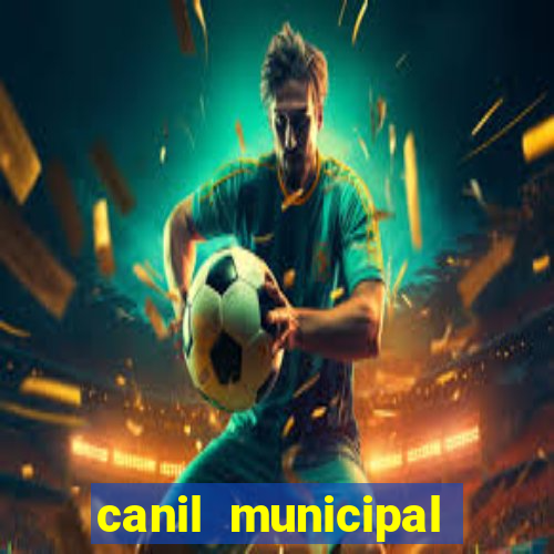 canil municipal porto alegre