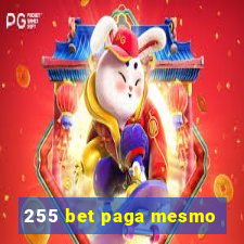 255 bet paga mesmo