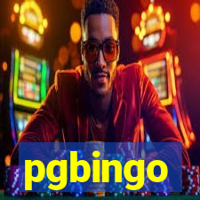 pgbingo