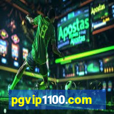 pgvip1100.com