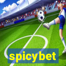 spicybet-3.com