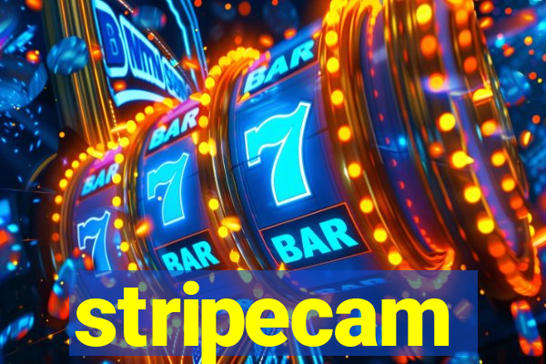 stripecam