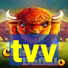 tvv-pg.com