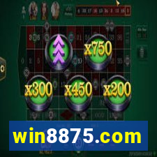 win8875.com