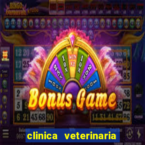 clinica veterinaria cuidar betim