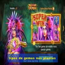 tipos de gemas nas plantas