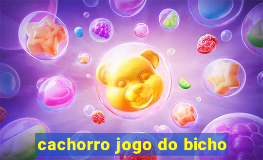 cachorro jogo do bicho