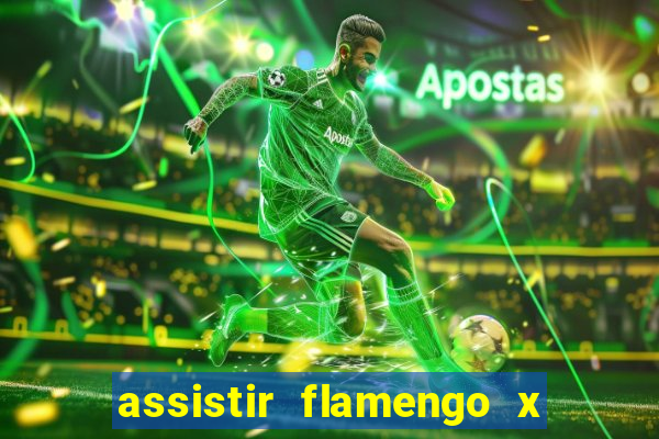 assistir flamengo x corinthians multi canais