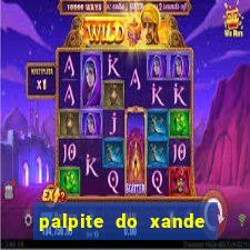 palpite do xande para hoje