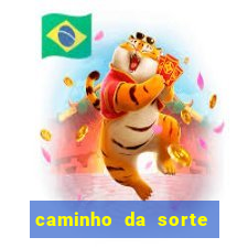 caminho da sorte esporte net