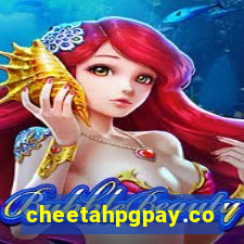 cheetahpgpay.com