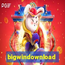 bigwindownload