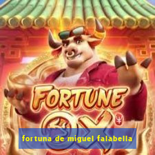 fortuna de miguel falabella