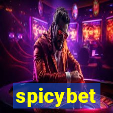 spicybet-4.com